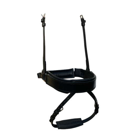 Fairfax Separate Flash